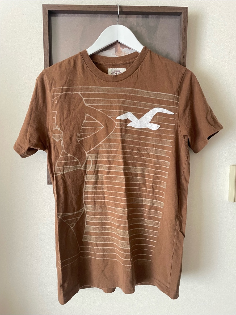 Hollister Y2K Vintage Graphic T-Shirt Medium Brown Surf Seagull Men’s Medium